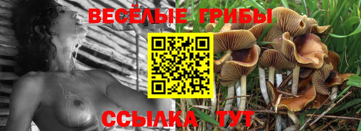 Галлюциногенные грибы прущие грибы Кушва